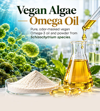 Vegan Algae Omega Oil