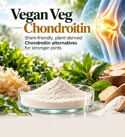 Vegan Chondroitin Alternative